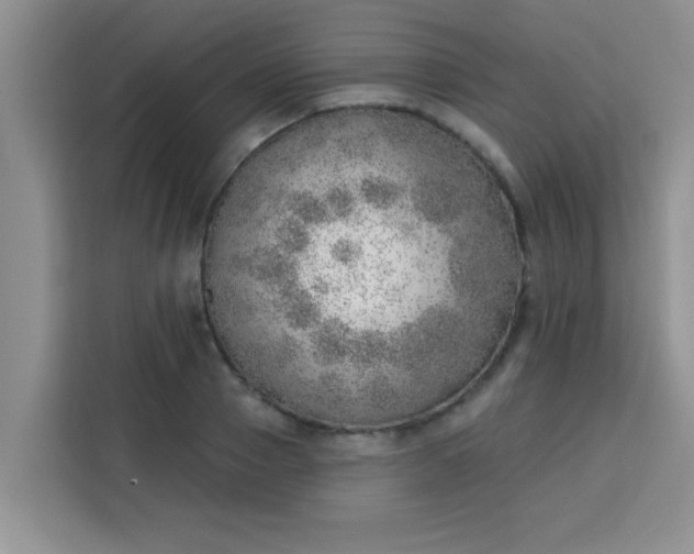 X0000113740937200910071043