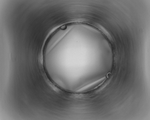 X0000113740940200910071043