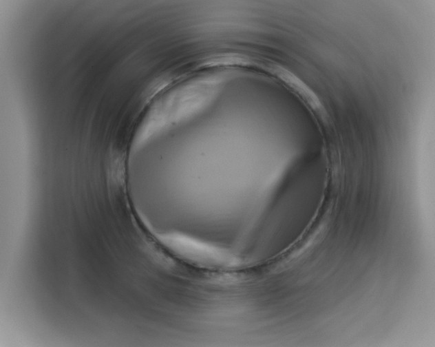 X0000113740945200910071043