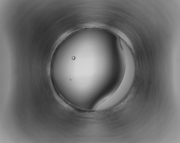 X0000113740946200910071043