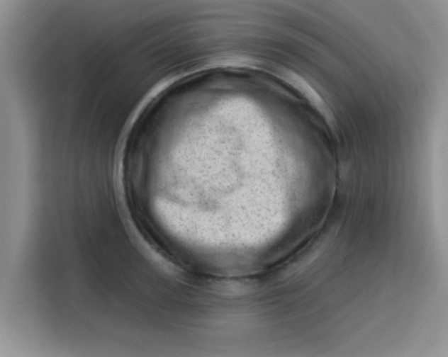 X0000113740947200910071043