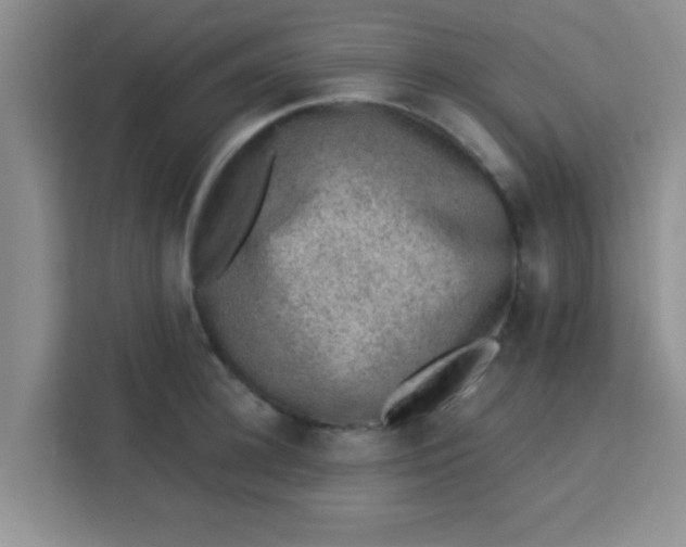 X0000113740948200910071043