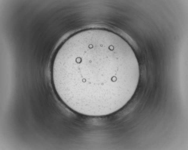 X0000113740950200910071043