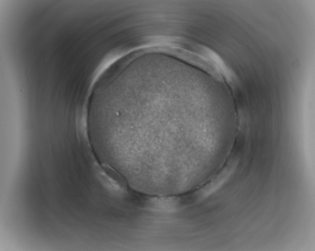 X0000113740952200910071043