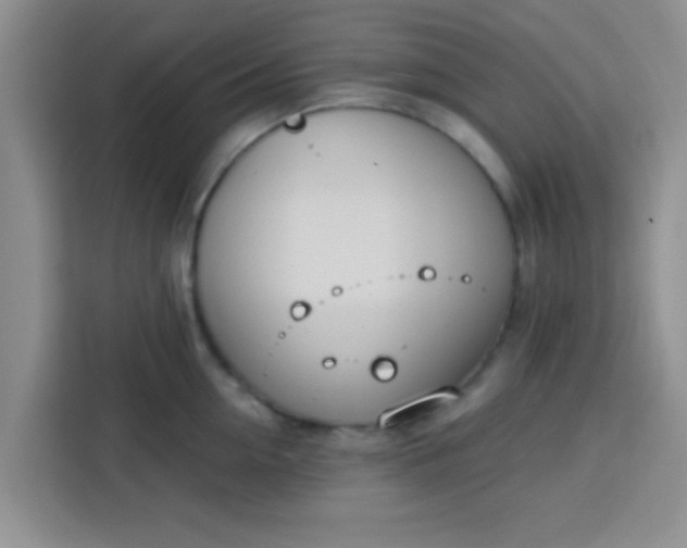 X0000113740954200910071043