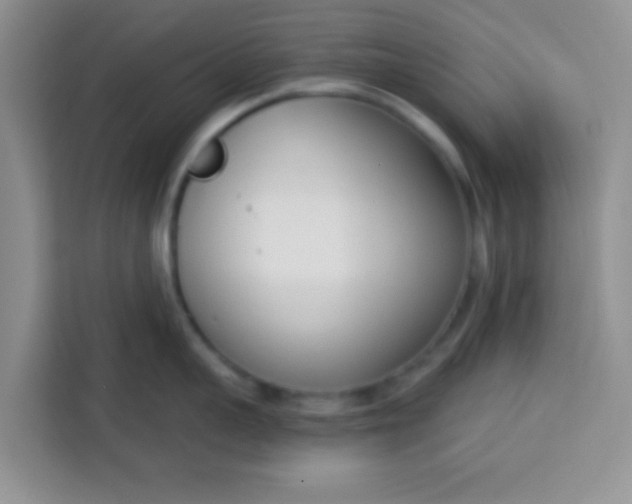 X0000113740959200910071043