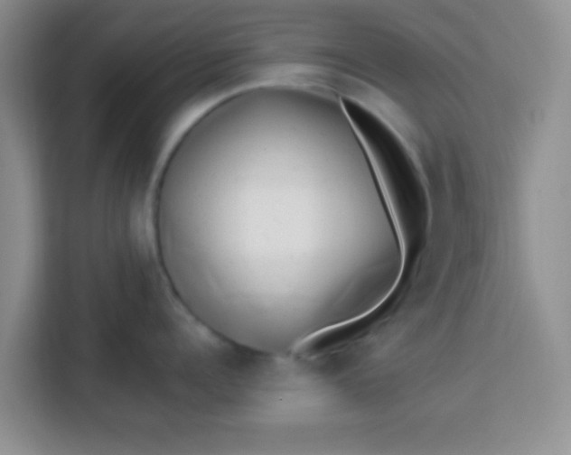 X0000113740960200910071043