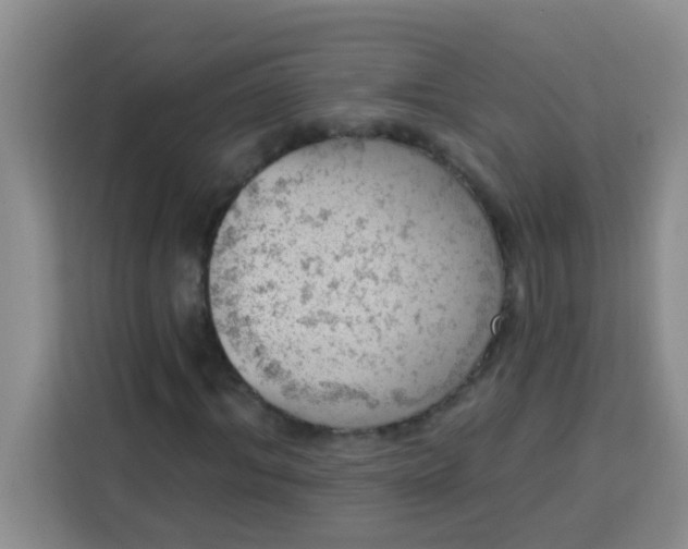 X0000113740964200910071043