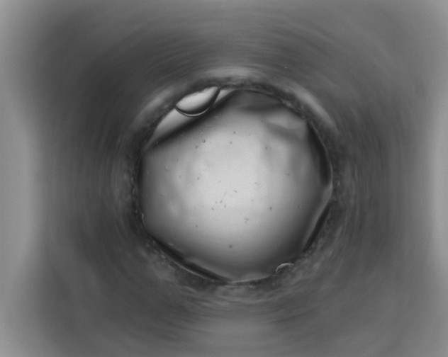 X0000113740967200910071043