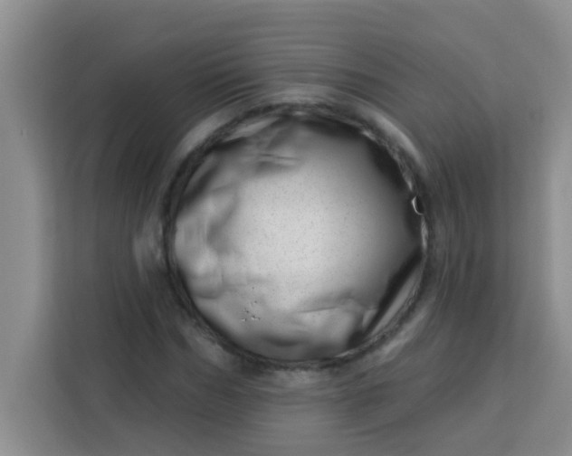 X0000113740970200910071043