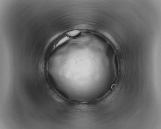 X0000113740971200910071043