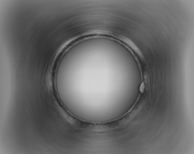 X0000113740972200910071043