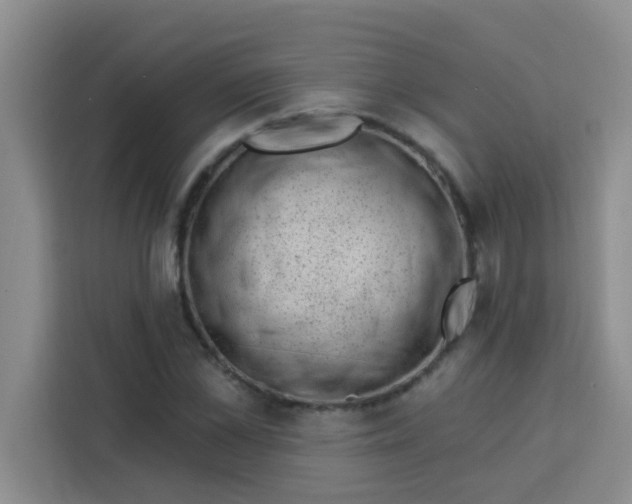 X0000113740973200910071042