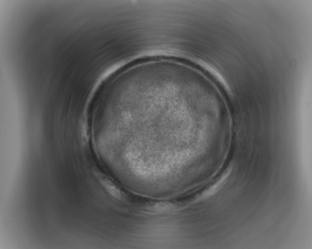 X0000113740974200910071042