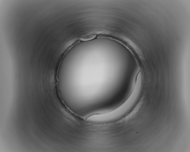 X0000113740977200910071042