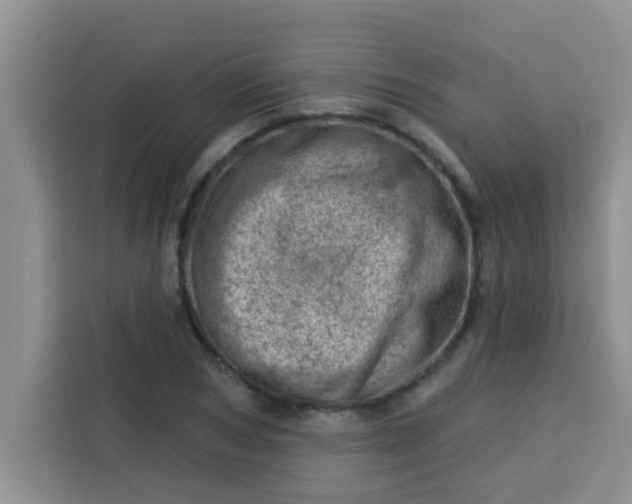 X0000113740978200910071042