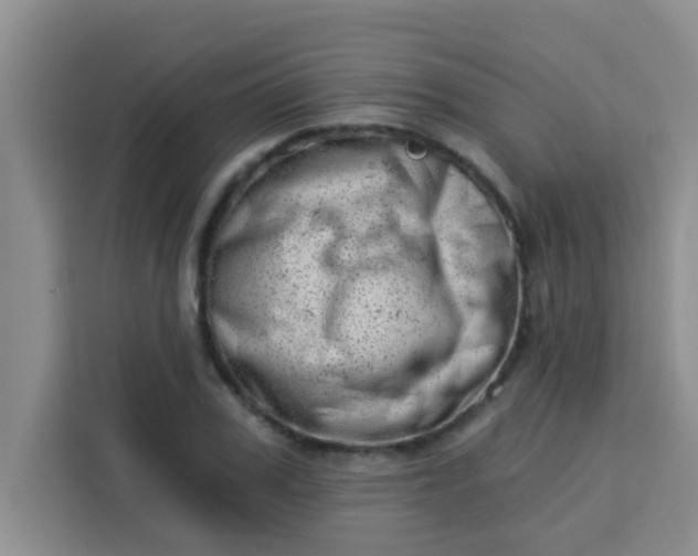 X0000113740979200910071042