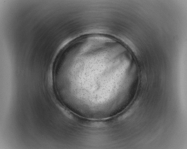 X0000113740982200910071042