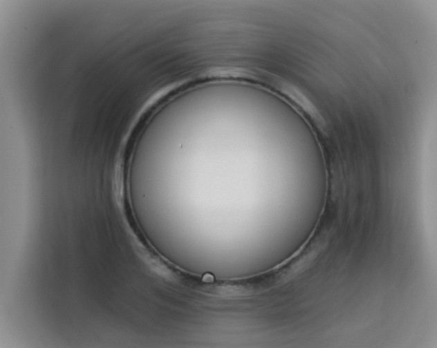 X0000113740984200910071042