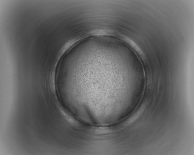 X0000113740986200910071042