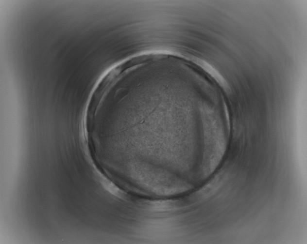 X0000113740988200910071042