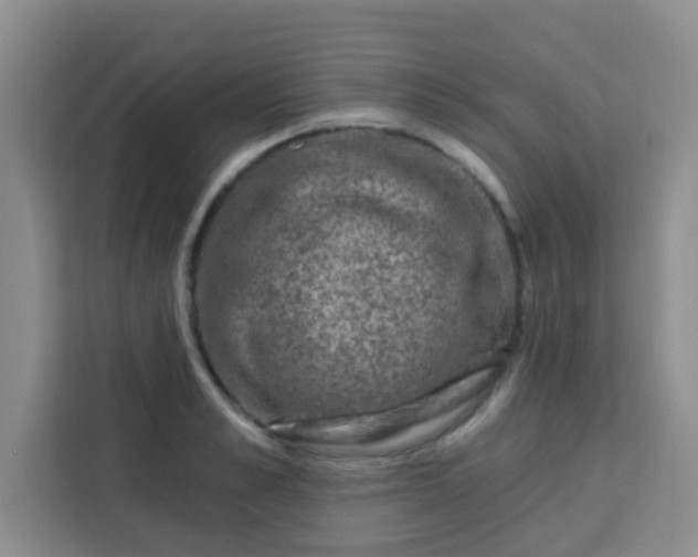 X0000113740989200910071042