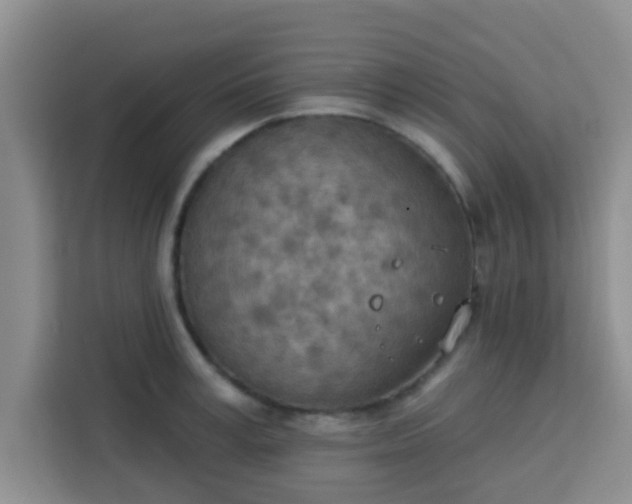 X0000113740995200910071042