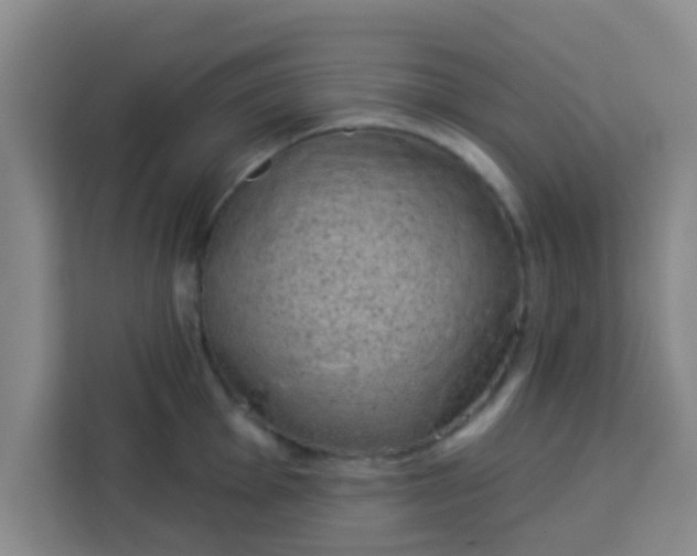 X0000113741001200910071042