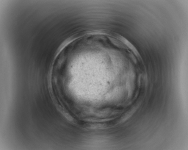 X0000113741002200910071042