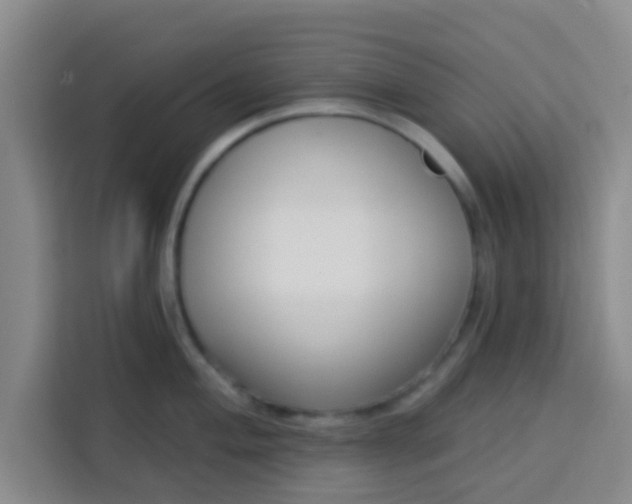 X0000113741004200910071042