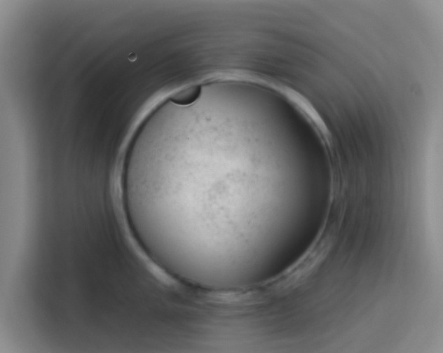 X0000113741005200910071042