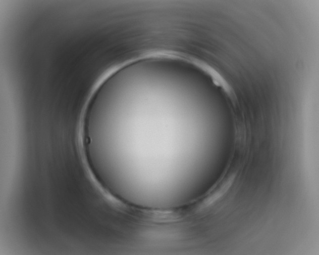 X0000113741007200910071042