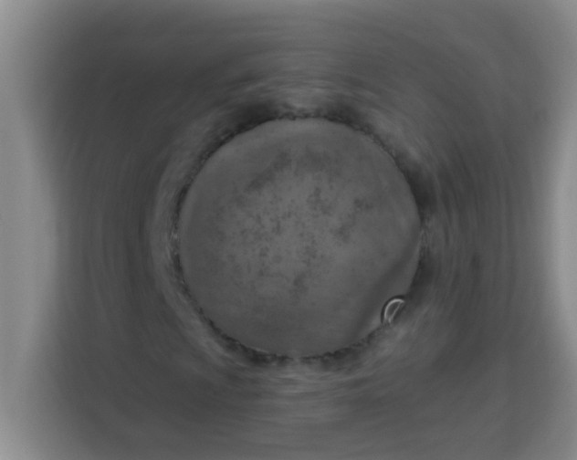 X0000113741009200910071041