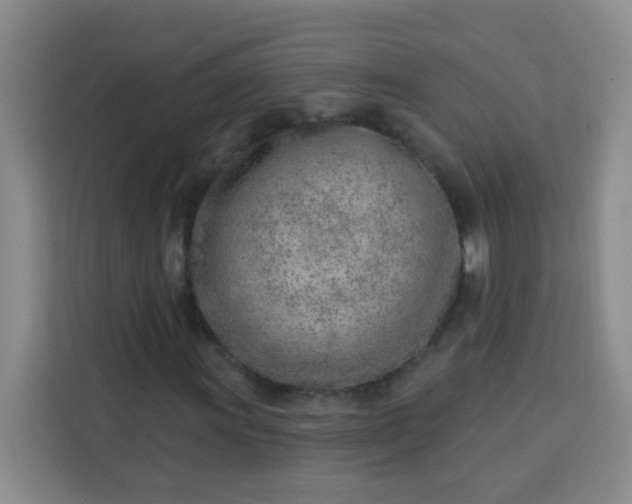 X0000113741011200910071041