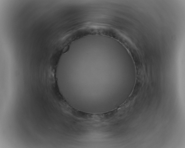 X0000113741013200910071041