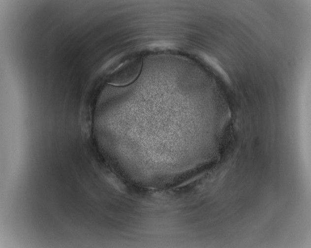 X0000113741015200910071041