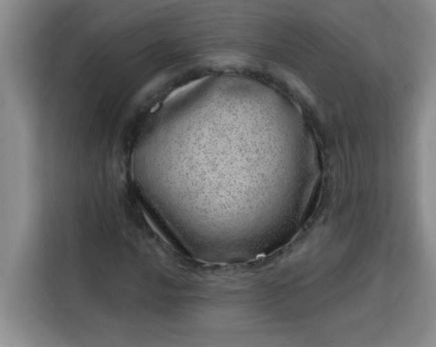 X0000113741016200910071042