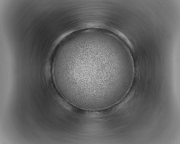 X0000113741019200910071042