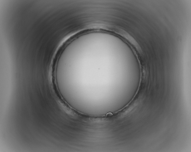 X0000113741020200910071042