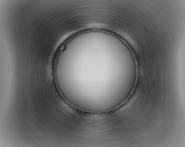 X0000113741022200910071042