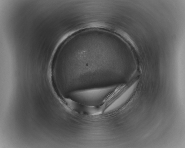 X0000113741024200910071042