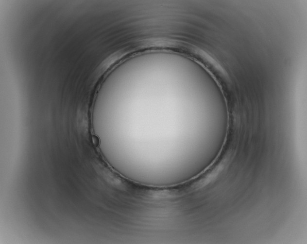 X0000113741025200910071042