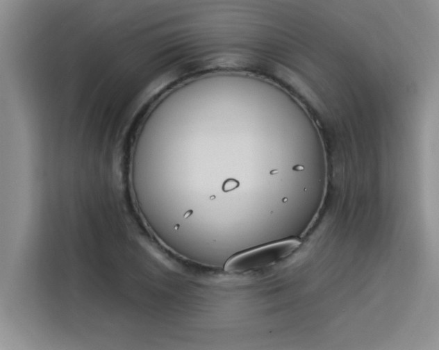 X0000113741026200910071042