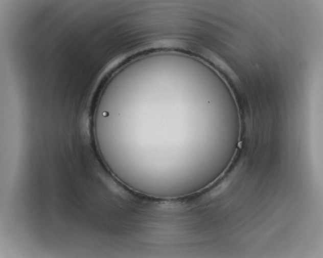 X0000113741029200910071042