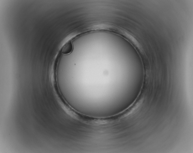 X0000113741034200910071042