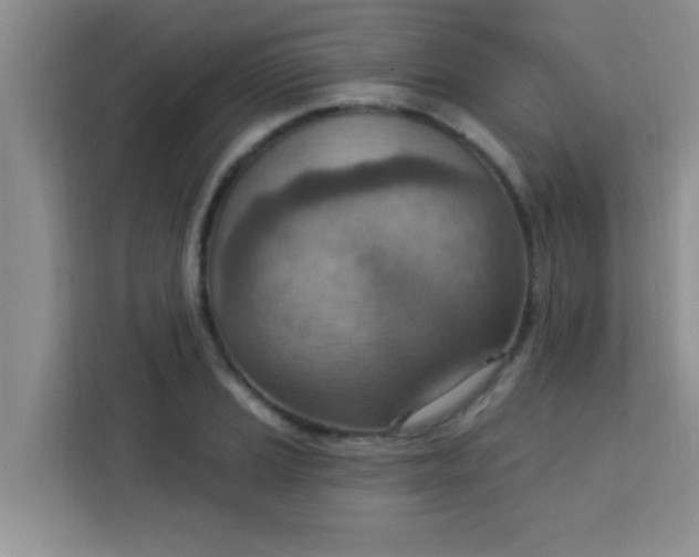 X0000113741037200910071042