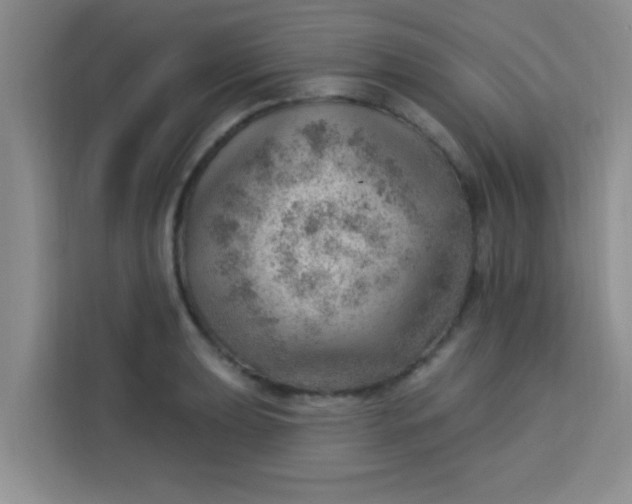 X0000113741039200910071042