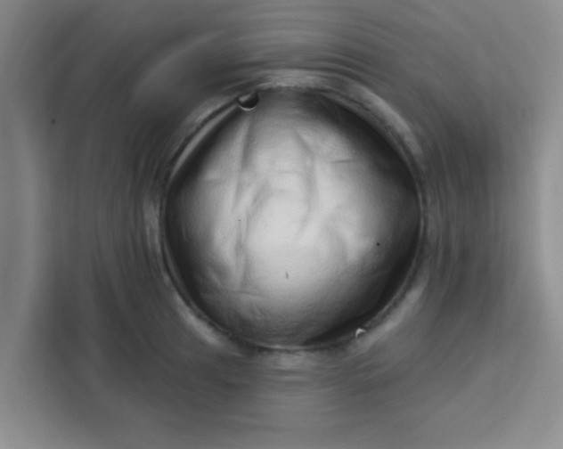 X0000113741041200910071042