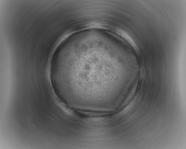 X0000113741043200910071042