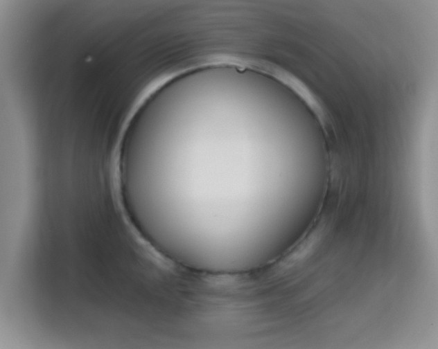 X0000113741048200910071042